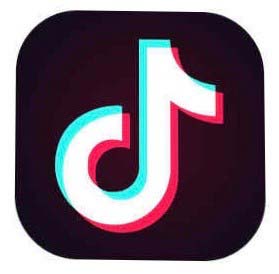 Southeast of Saline students find hidden talent in TikTok