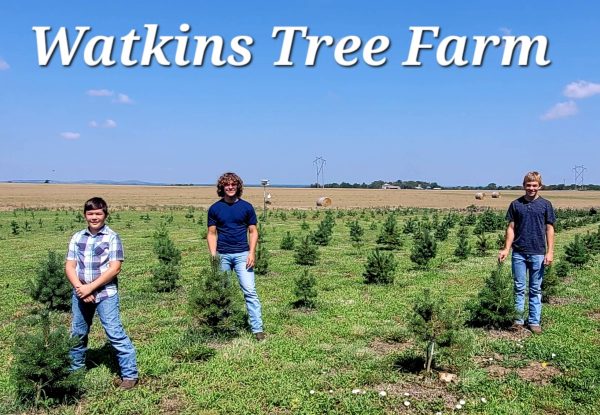 The Watkins Tree Farm.