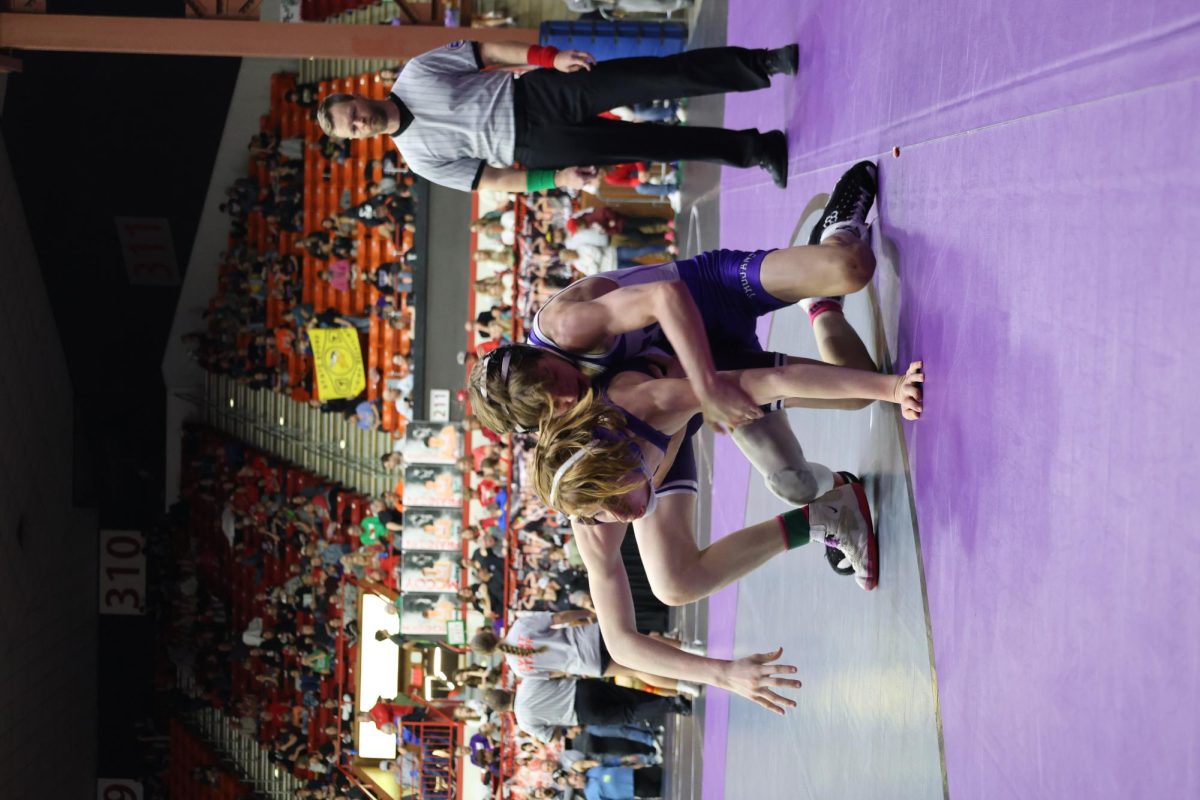 Pictures from State Wrestling in Salina. 